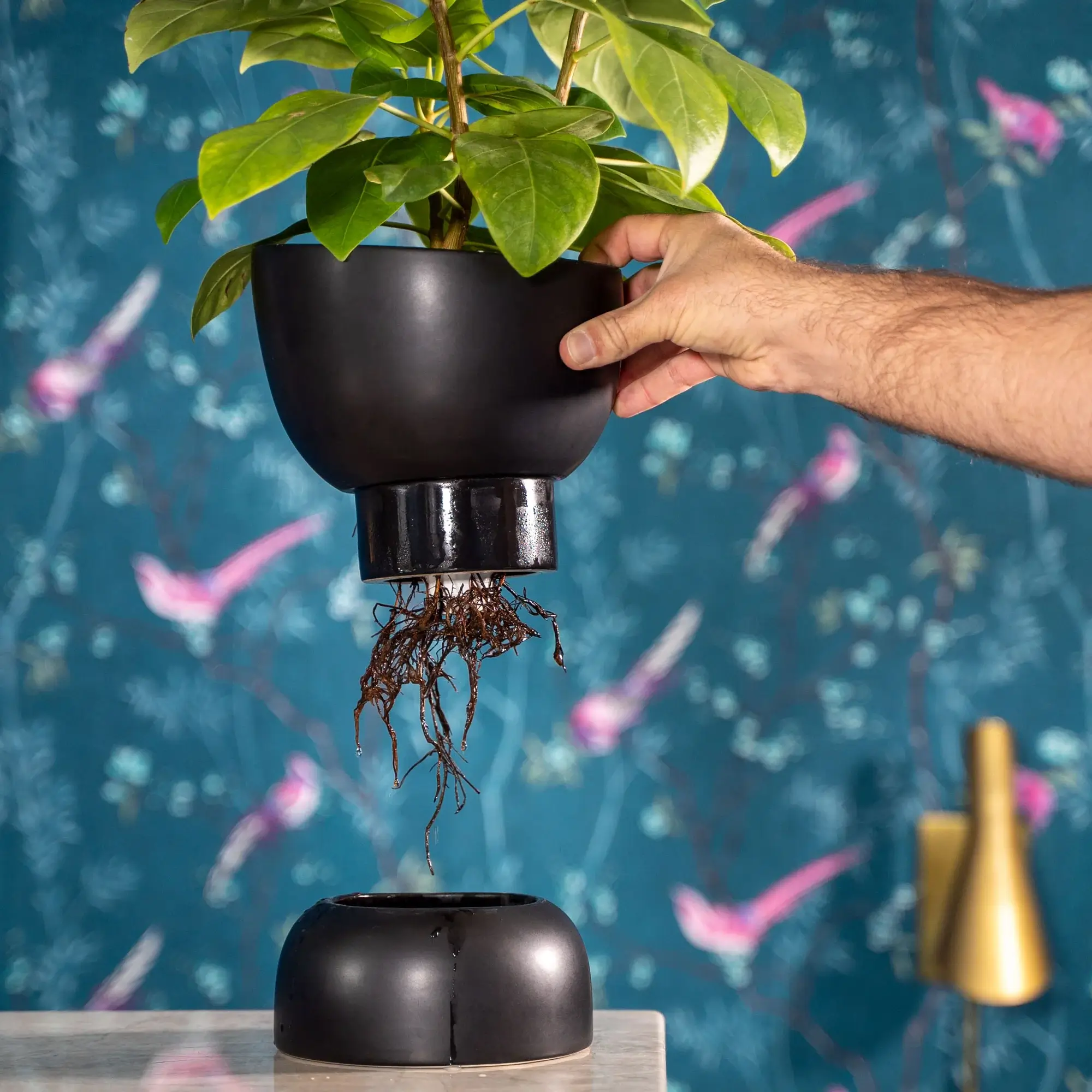 Self-Watering Planter